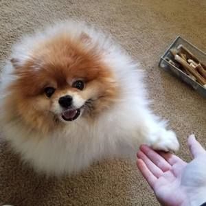 Meet your Posher, Diane